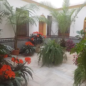 Casa Tipica Cordobesa , Cordoue Espagne